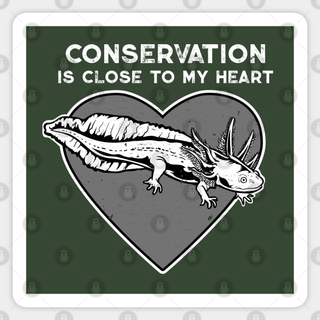 Axolotl Conservation Heart Sticker by Peppermint Narwhal